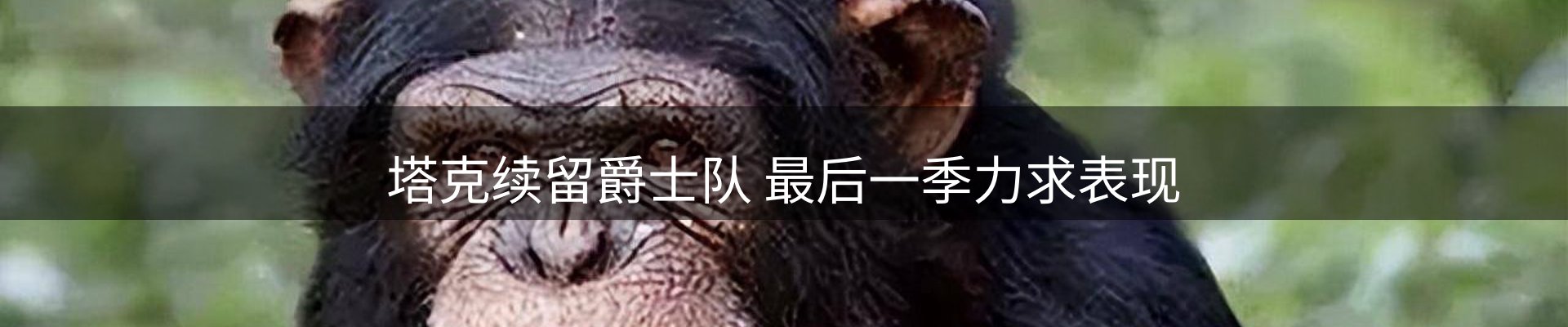 热点解析