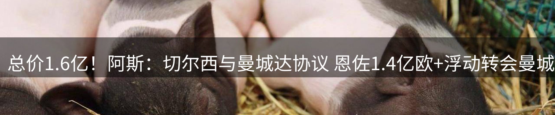 热点解析