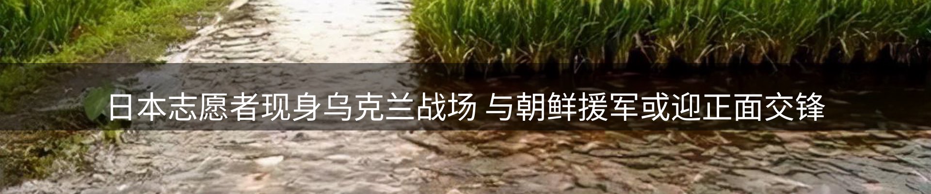 热点解析