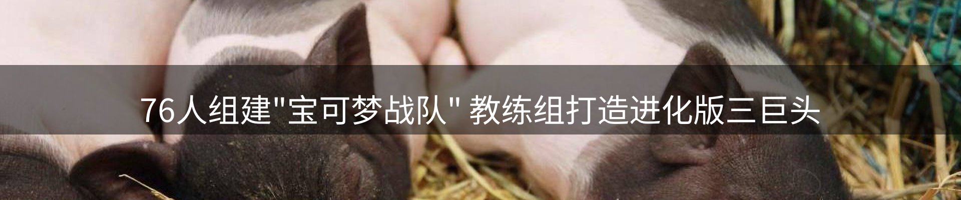 热点解析