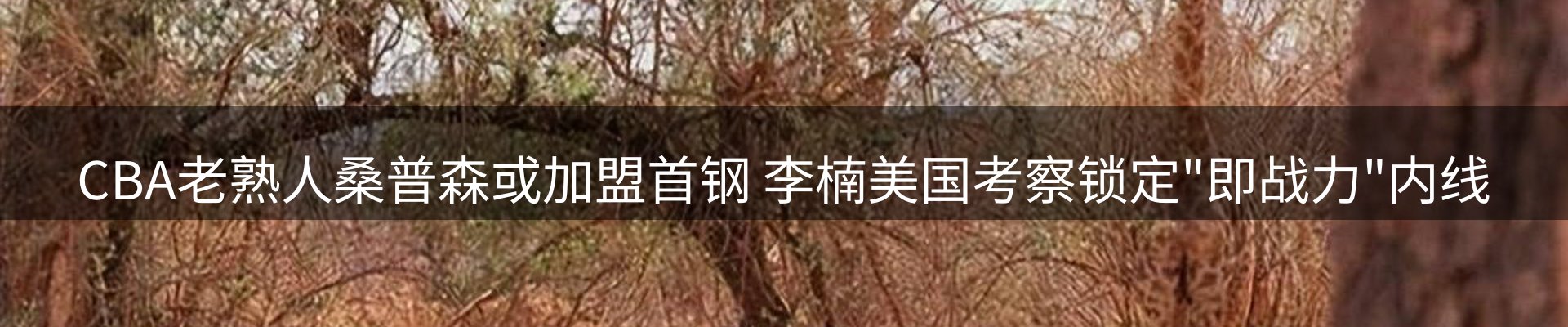 最新资讯